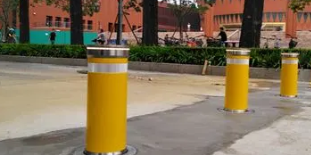 不可或缺的學校好色视频APP下载